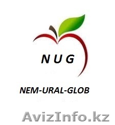 Польское яблоко от производителя - Изображение #1, Объявление #976952