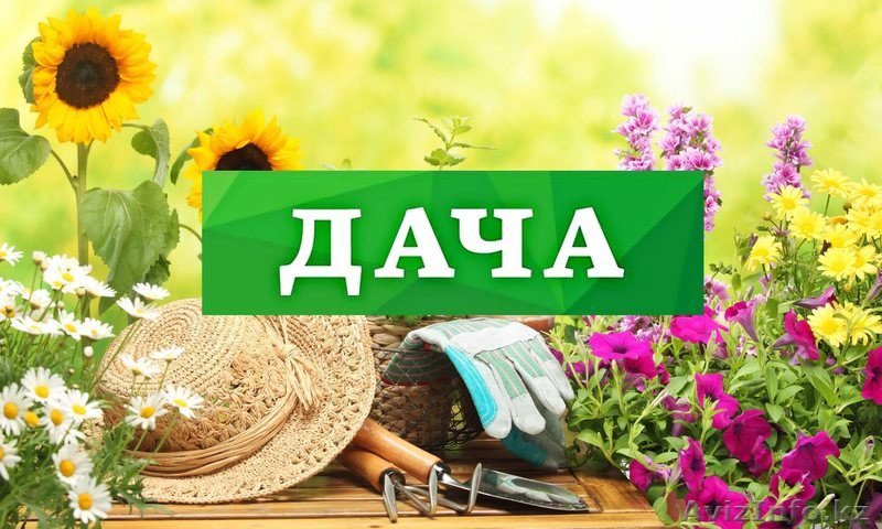 Продам Дачу!!! Восточный 3 дачи - Изображение #1, Объявление #1556031