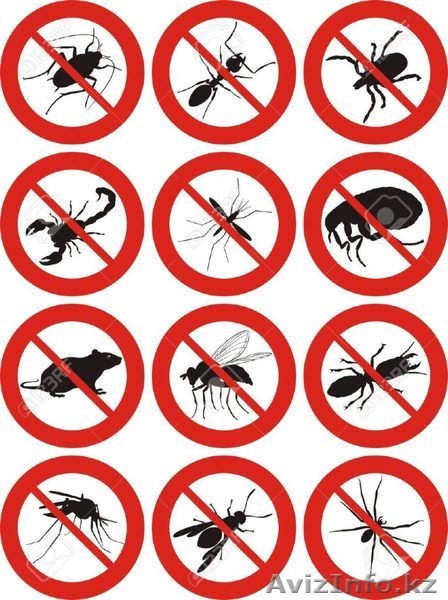  Дезинcекция и дератизация Семей - Изображение #1, Объявление #1561288