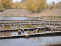 Баржи на металл - Изображение #1, Объявление #88073