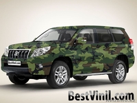 Виниловая пленка под камуфляж - Изображение #4, Объявление #305837