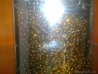 Продам Селен (в любом количестве) - Изображение #2, Объявление #345547