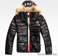 оптовая Последние моды повседневной одежды - Изображение #2, Объявление #476710