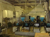 База производственная г.Семей - Изображение #3, Объявление #585711