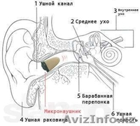 Продам беспроводные микро наушники с Bluetooth-адаптером для экзаменов - Изображение #4, Объявление #861070