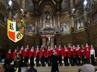 Robin Good Travel - Организация посещения детских конкурсов и фестивалей. - Изображение #3, Объявление #898224