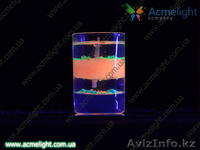 Партнерская программа в г.Семей  - Изображение #2, Объявление #896090