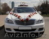 г.Семей                 - Изображение #3, Объявление #1185682