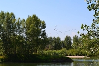 Полдома 3 комн.  yл. Предгорная  пос, Восход г,Семипалатинск - Изображение #2, Объявление #1316921