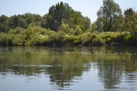 Полдома 3 комн.  yл. Предгорная  пос, Восход г,Семипалатинск - Изображение #3, Объявление #1316921