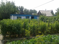 Продам участок на бобровке, 2-е дачи, зимний дом - Изображение #1, Объявление #1365226