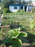 Продам участок на бобровке, 2-е дачи, зимний дом - Изображение #2, Объявление #1365226