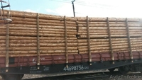 столбы деревянные для  ЛЭП и связи - Изображение #5, Объявление #1489529