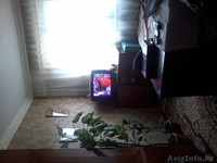 2-х комнатная с/п  - Изображение #4, Объявление #1497618