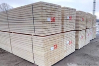 Кедр, Ель, Пихта, Сосна - Изображение #3, Объявление #1610802