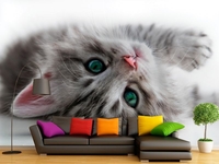 Фотошторы, 3д обои, фотообои - Изображение #4, Объявление #1695104