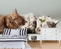 Фотошторы, 3д обои, фотообои - Изображение #8, Объявление #1695104