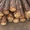 столбы деревянные для  ЛЭП и связи - Изображение #2, Объявление #1489529