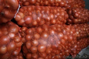 Репчатый лук - 20 тг