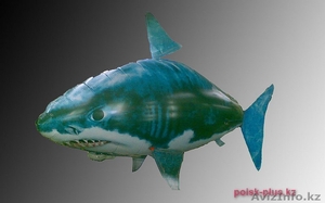 Летающая рыба акула - Изображение #1, Объявление #576765