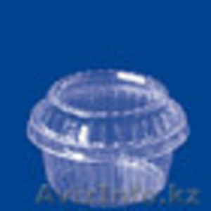 пищевой пластиковый контейнер