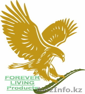 РАБОТА в американской компании Forever Living Products в городе Семей - Изображение #1, Объявление #756654