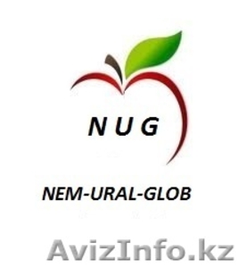 Яблоко производства Польша