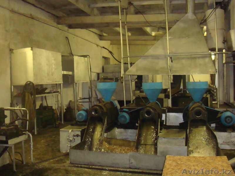 База производственная г.Семей - Изображение #3, Объявление #585711
