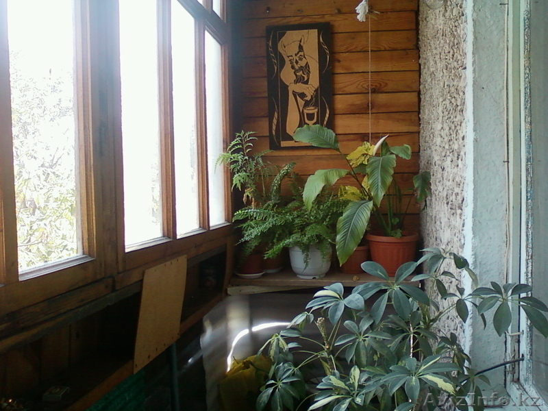 Продается 2-х комнатная кв . Район Новостройка - Изображение #5, Объявление #739618