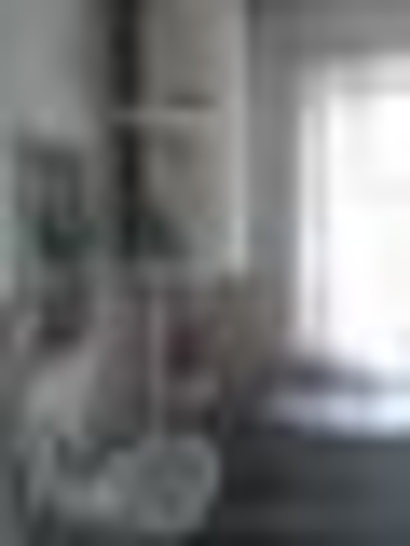 Новый дом Реальному покупателю реальный торг!!! - Изображение #8, Объявление #1126119