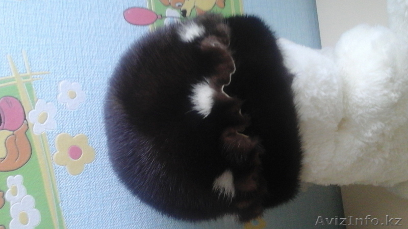 продам шапку норковую - Изображение #1, Объявление #1182880