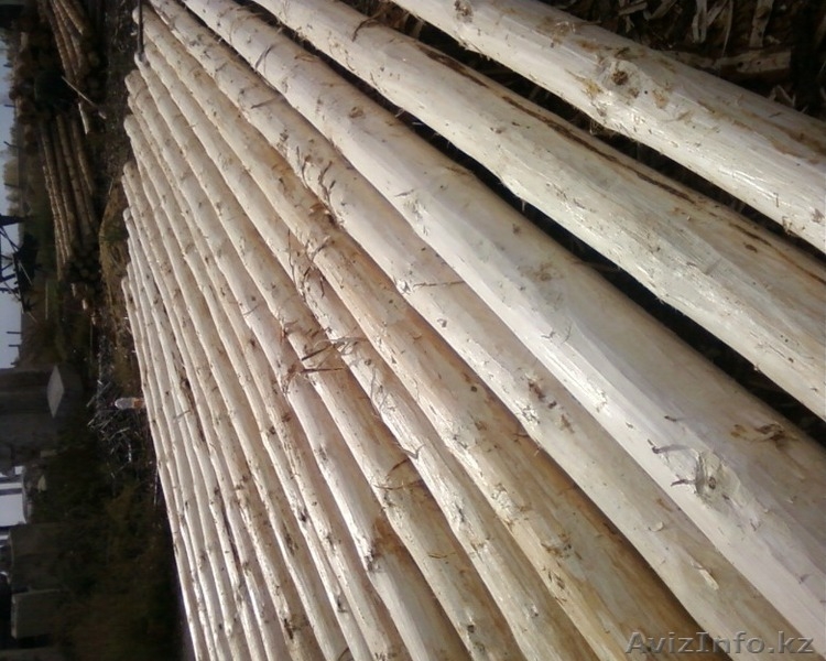 деревянные опоры - Изображение #2, Объявление #1199441