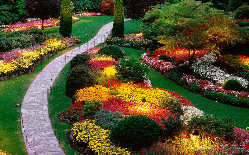 «ALEMAR» - ландшафтный дизайн - Изображение #1, Объявление #1235160