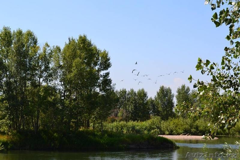 Полдома 3 комн.  yл. Предгорная  пос, Восход г,Семипалатинск - Изображение #2, Объявление #1316921