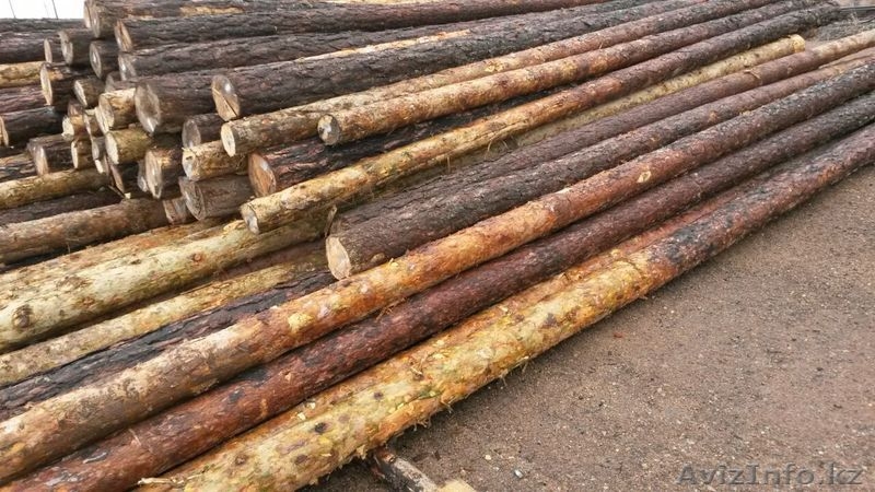 столбы деревянные для  ЛЭП и связи - Изображение #1, Объявление #1489529
