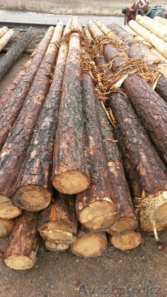 столбы деревянные для  ЛЭП и связи - Изображение #2, Объявление #1489529