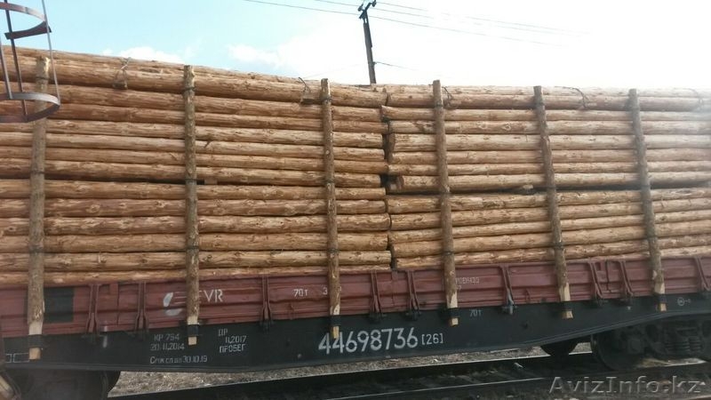 столбы деревянные для  ЛЭП и связи - Изображение #5, Объявление #1489529