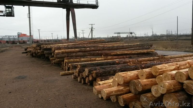 столбы деревянные для  ЛЭП и связи - Изображение #4, Объявление #1489529