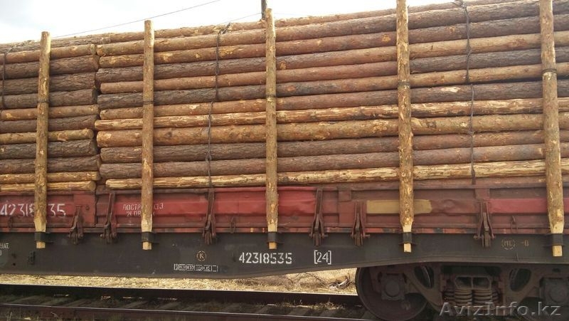 столбы деревянные для  ЛЭП и связи - Изображение #6, Объявление #1489529