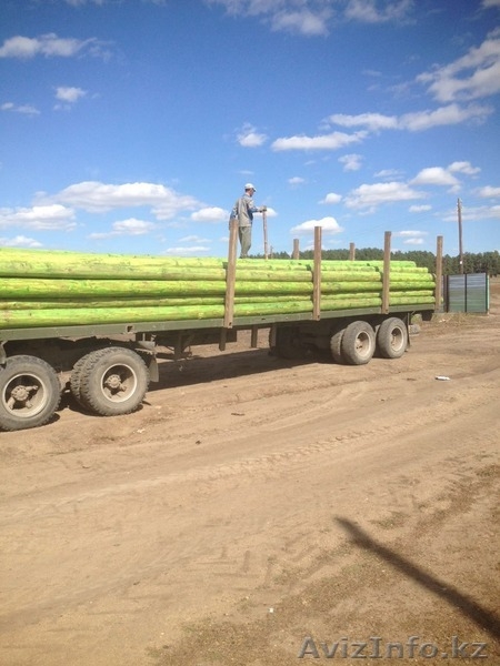 столбы деревянные для  ЛЭП и связи - Изображение #9, Объявление #1489529