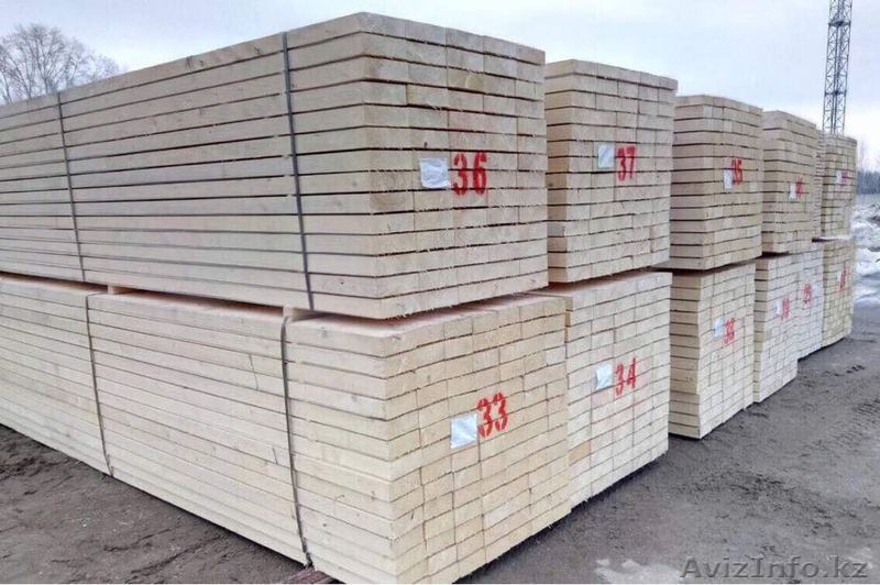 Кедр, Ель, Пихта, Сосна - Изображение #3, Объявление #1610802