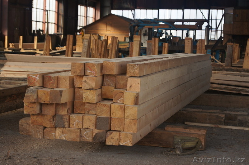 Кедр, Ель, Пихта, Сосна - Изображение #2, Объявление #1610802