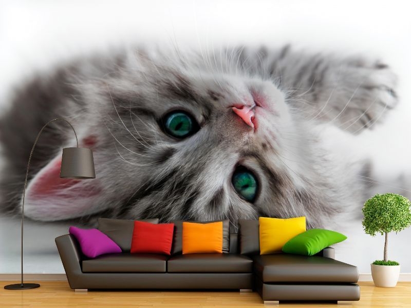 Фотошторы, 3д обои, фотообои - Изображение #4, Объявление #1695104