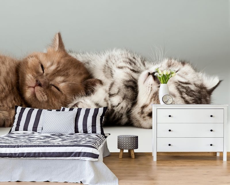 Фотошторы, 3д обои, фотообои - Изображение #8, Объявление #1695104