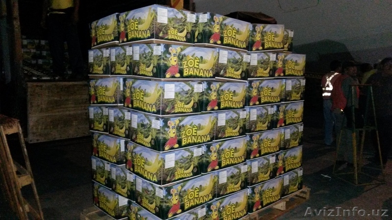 продажа свежих бананов от производителя - Изображение #3, Объявление #618607